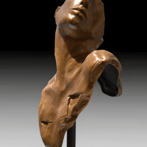 Evidencia Confrontada 1