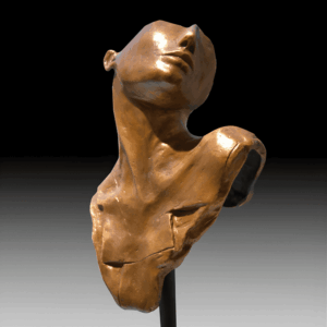 Evidencia Confrontada 2