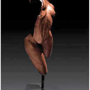 Hallazgo de Sodoma 2