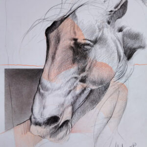 Caballo-1