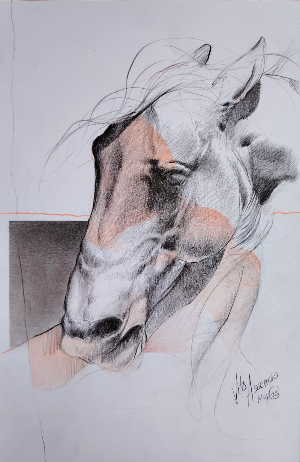 Caballo-1