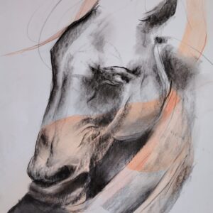 Caballo-2