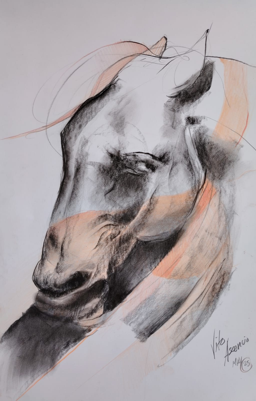 Caballo-2
