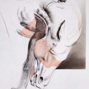 Caballo-3