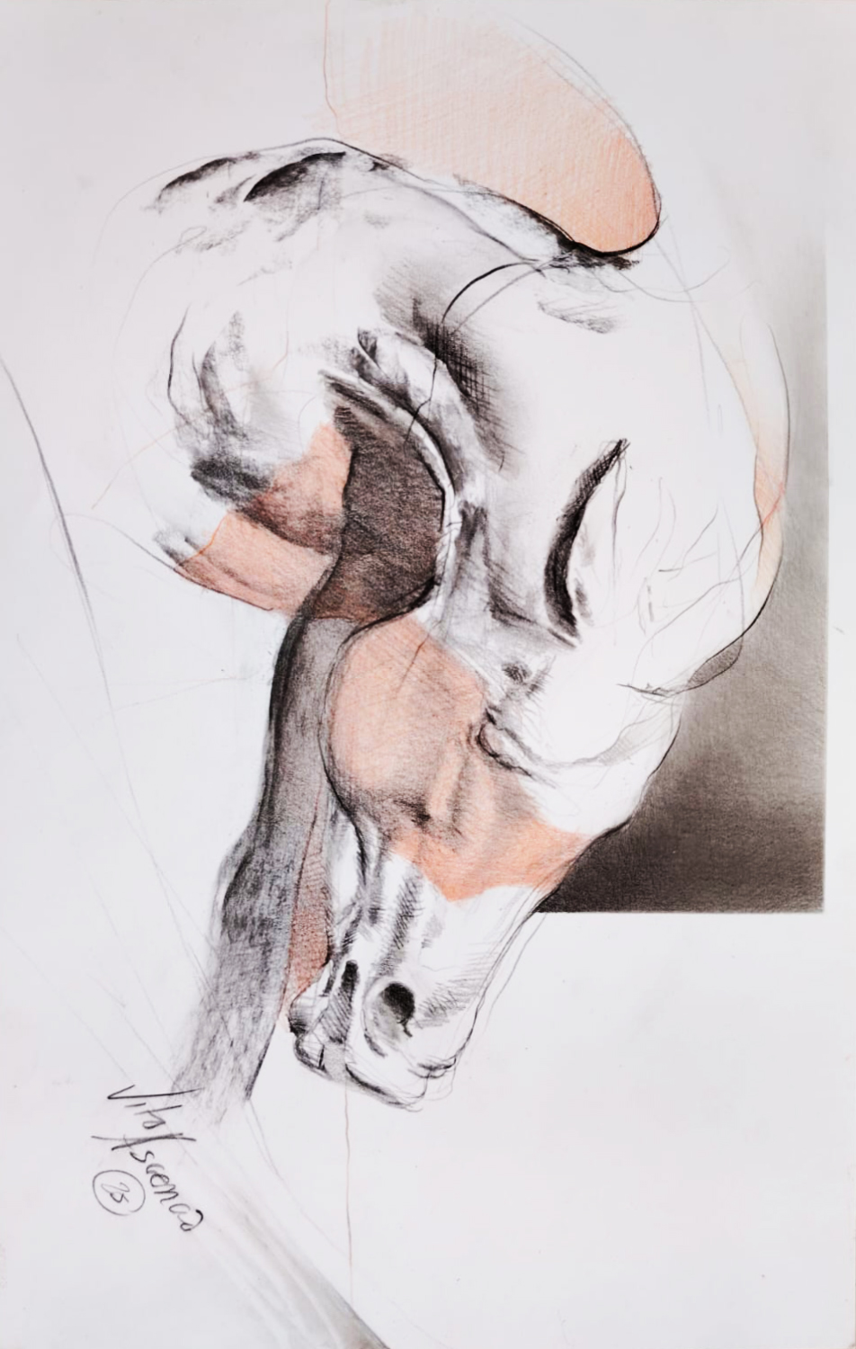 Caballo-3