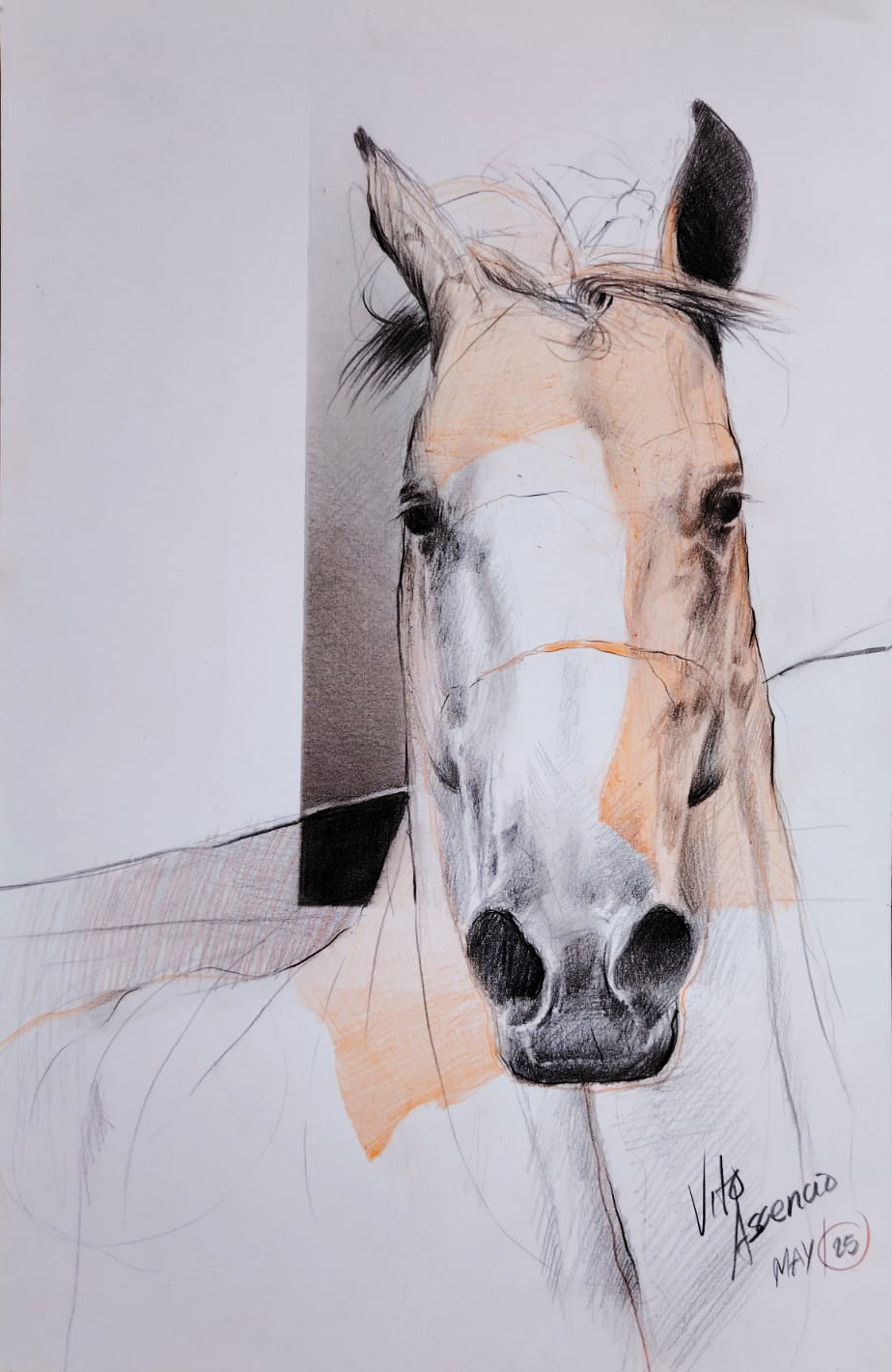 Caballo-4
