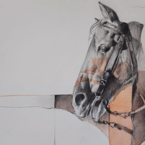 Caballo-6