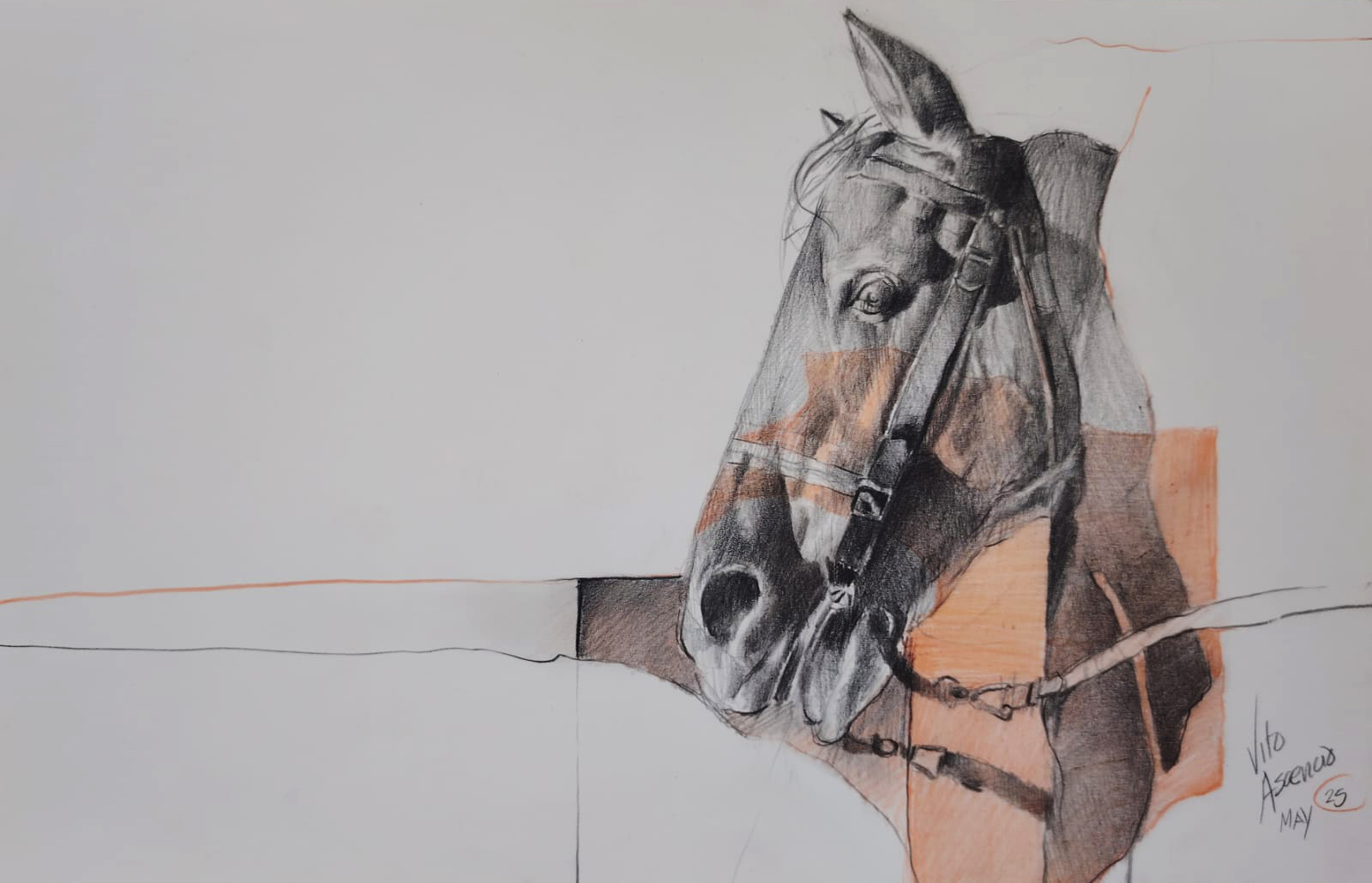 Caballo-6